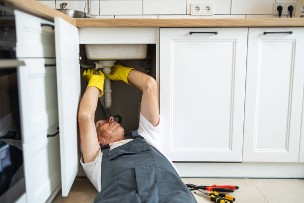 Best Sprinkler Systems  in Gasport, NY